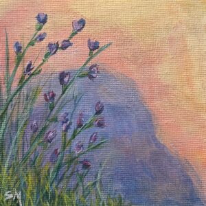 Rock with Flowers at Sunset