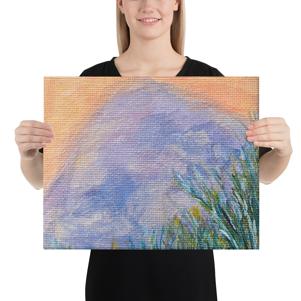 Rock at Sunset Canvas