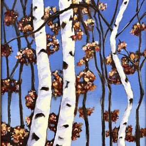 Birch Trees