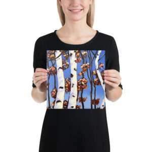 Birch Trees | Canvas