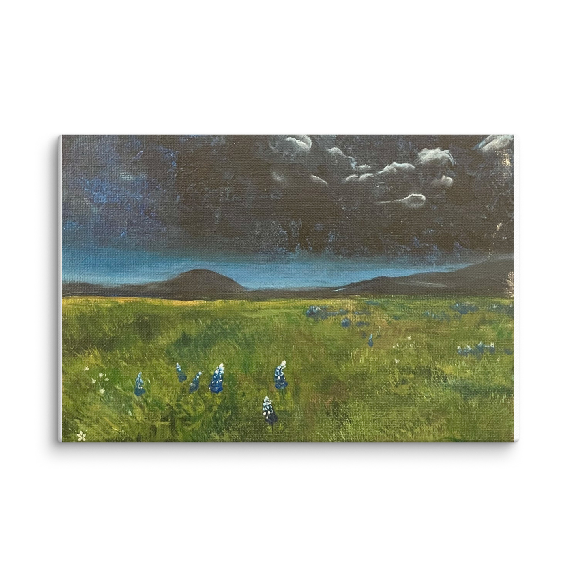 Hill Country Eclipse | Canvas - Image 17